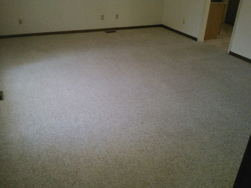 pet_stain